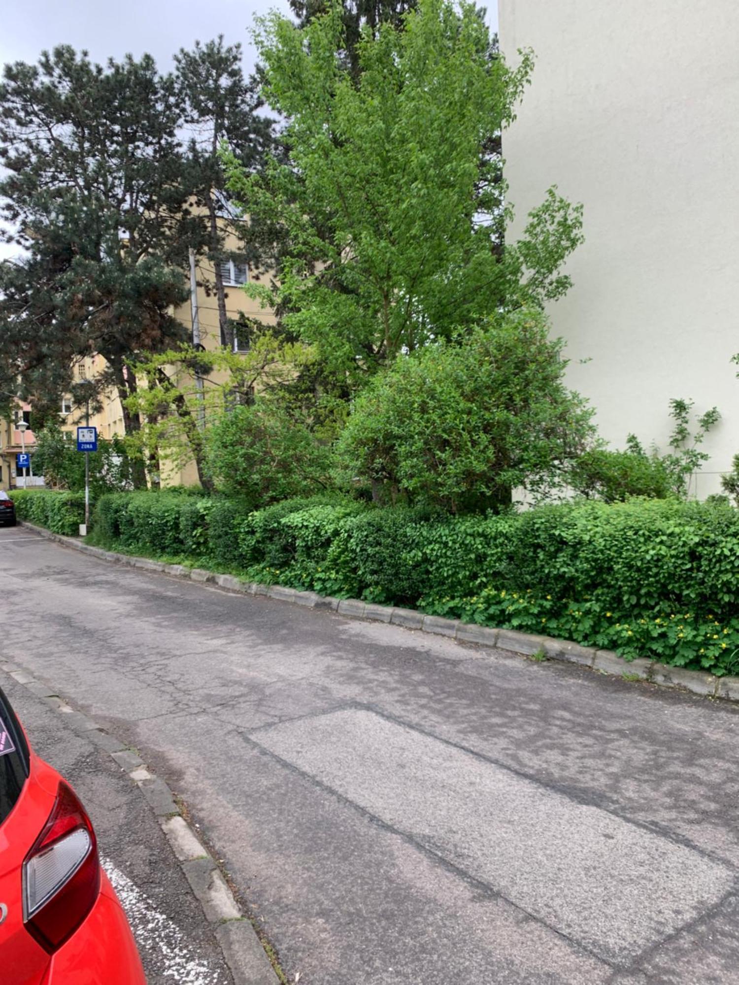 River House Apartman Kolozsvár Kültér fotó